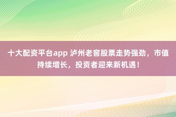 十大配资平台app 泸州老窖股票走势强劲，市值持续增长，投资者迎来新机遇！