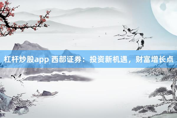 杠杆炒股app 西部证券：投资新机遇，财富增长点