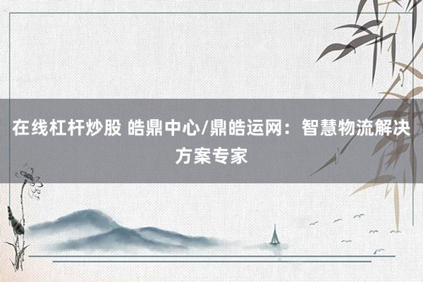 在线杠杆炒股 皓鼎中心/鼎皓运网：智慧物流解决方案专家