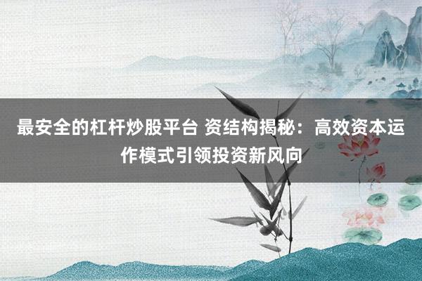 最安全的杠杆炒股平台 资结构揭秘：高效资本运作模式引领投资新风向