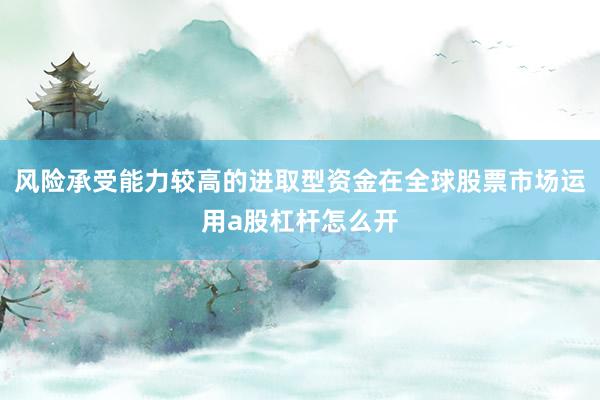 风险承受能力较高的进取型资金在全球股票市场运用a股杠杆怎么开