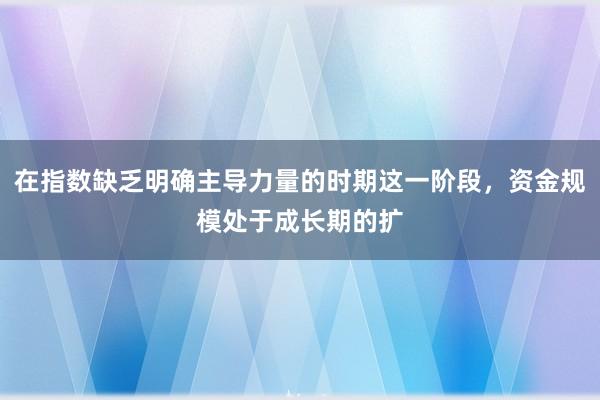 在指数缺乏明确主导力量的时期这一阶段，资金规模处于成长期的扩