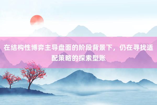 在结构性博弈主导盘面的阶段背景下,仍在寻找适配策略的探索型账