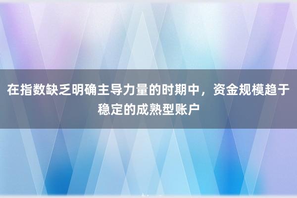 在指数缺乏明确主导力量的时期中,资金规模趋于稳定的成熟型账户