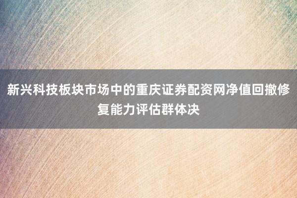 新兴科技板块市场中的重庆证券配资网净值回撤修复能力评估群体决