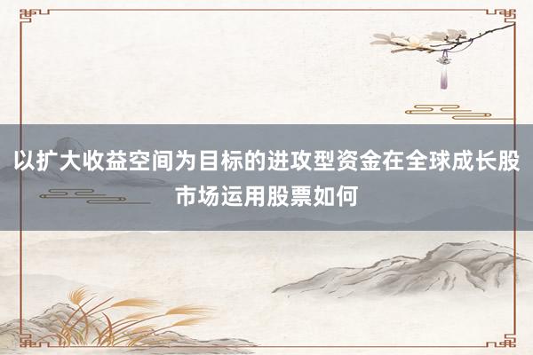 以扩大收益空间为目标的进攻型资金在全球成长股市场运用股票如何