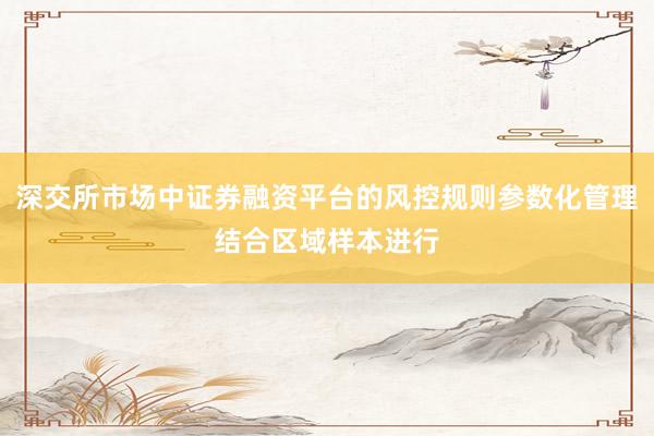 深交所市场中证券融资平台的风控规则参数化管理结合区域样本进行