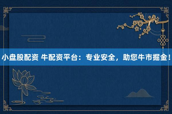 小盘股配资 牛配资平台：专业安全，助您牛市掘金！