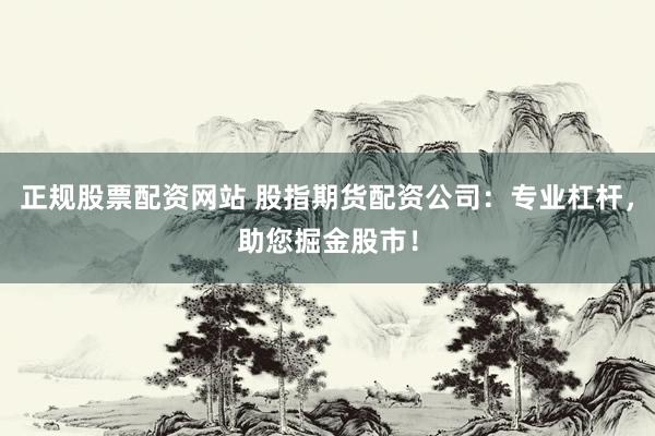正规股票配资网站 股指期货配资公司：专业杠杆，助您掘金股市！