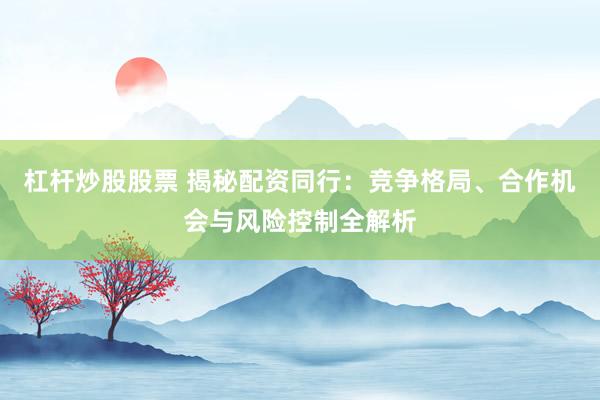 杠杆炒股股票 揭秘配资同行:竞争格局、合作机会与风险控制全解析
