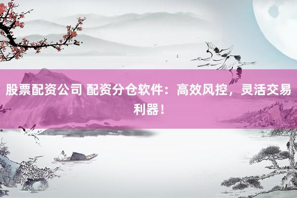 股票配资公司 配资分仓软件：高效风控，灵活交易利器！